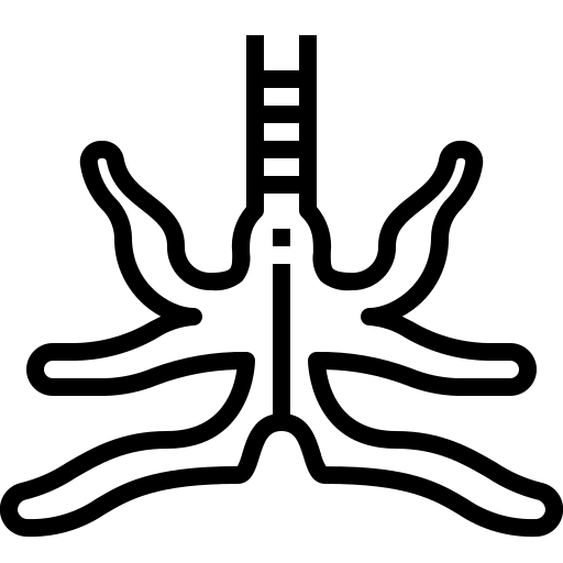 bronchus_2864621