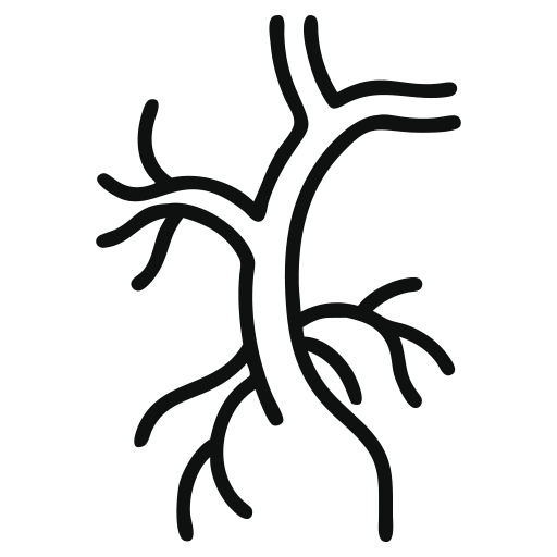 ader-gefaess Physio Riepe-Darsnik lymphdrainage